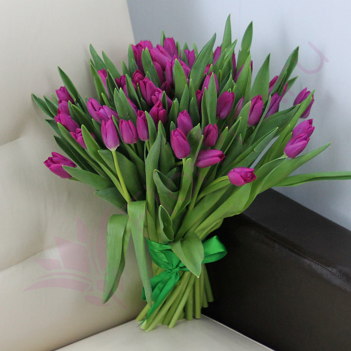 51 фиолетовый тюльпан